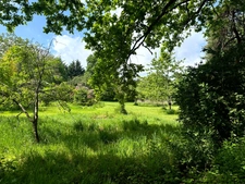 Exclusivité – Propriété de caractère avec étang, dans un écrin naturel préservé du Morvan - proche de SAULIEU (21)