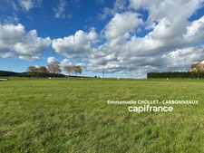 Terrain à Bâtir - 710 m2 - Vitteaux (21)