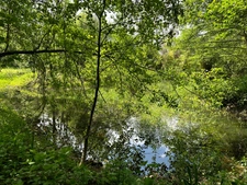 Exclusivité – Propriété de caractère avec étang, dans un écrin naturel préservé du Morvan - proche de SAULIEU (21)
