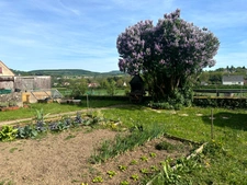 MAISON ANCIENNE RÉNOVÉE – 145 m² – JARDIN – PRECY-SOUS-THIL
