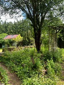 Exclusivité – Propriété de caractère avec étang, dans un écrin naturel préservé du Morvan - proche de SAULIEU (21)