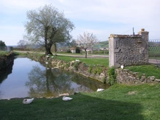 Historic residence PRECY-SOUS-THIL comprising 15 rooms (390 m²) and 950 m² of outbuildings