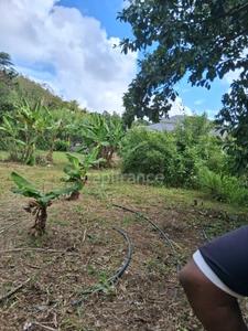 Terrain à vendre 800 M² viabilisé  ()