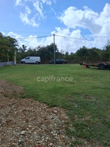 Terrain à vendre 800 M² viabilisé  ()