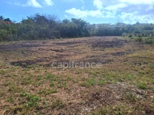 Terrain à vendre  de 1811 m² sur LE MOULE (971)