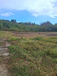 Terrain à vendre  de 1811 m² sur LE MOULE (971)