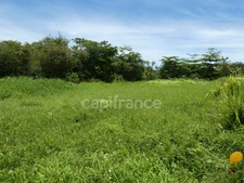 Terrain à vendre  de 1811 m² sur LE MOULE (971)