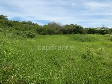 Terrain à vendre  de 1811 m² sur LE MOULE (971)