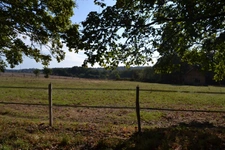 Maison de campagne sur 3ha constructibles (27)