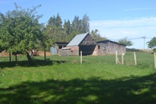 propriété sur 3ha (27)