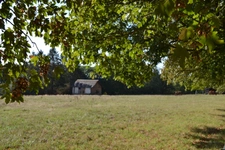 Maison de campagne sur 3ha constructibles (27)