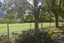 propriété sur 3ha (27)