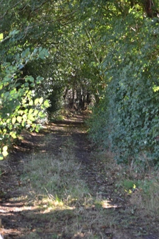 Maison de campagne sur 3ha constructibles (27)