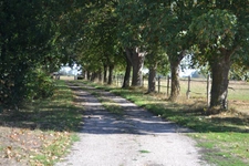 Maison de campagne sur 3ha constructibles (27)