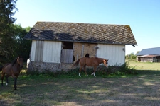 Maison de campagne sur 3ha constructibles (27)