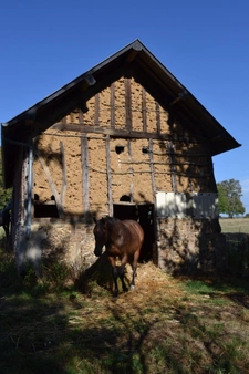 Maison de campagne sur 3ha constructibles (27)
