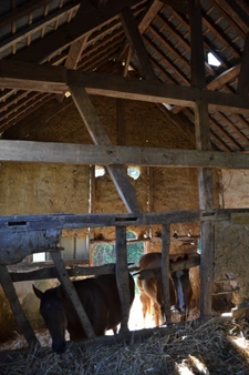 Maison de campagne sur 3ha constructibles (27)