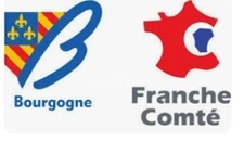 SALE OF HOTEL AND OFFICE BUILDINGS AND BUSINESS near TROYES (10)