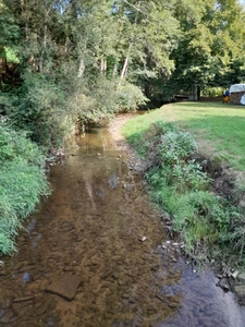 Renovated farm, on 49 acres with river
