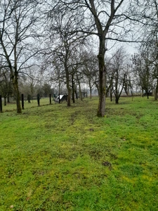 Belle propriete en viager occupé 4 pièces  nombreuse dépendances , grand terrain VALFF (67)