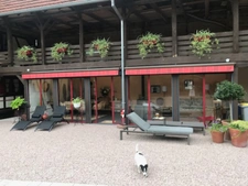 Belle propriete en viager occupé 4 pièces  nombreuse dépendances , grand terrain VALFF (67)