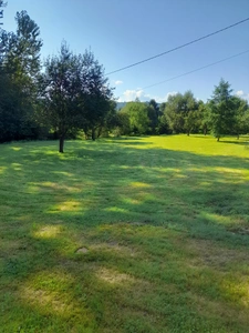 Renovated farm, on 49 acres with river