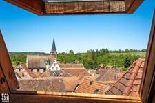 Propriété exeptionnelle sur 1 hectare à vendre en viager occupé, BOERSCH propriete P15 de 480 m²  
