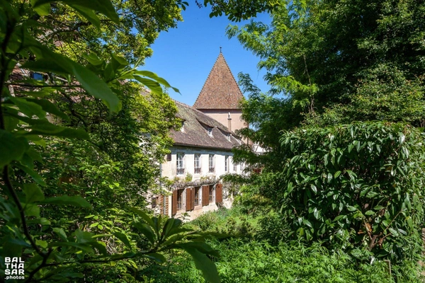 Propriété exeptionnelle sur 1 hectare à vendre en viager occupé, BOERSCH propriete P15 de 480 m²