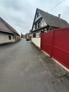 Belle propriete en viager occupé 4 pièces  nombreuse dépendances , grand terrain VALFF (67)
