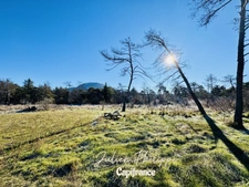 Exceptional property – 500 m² of living space – Quiet and unspoiled environment