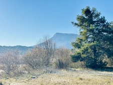 Exceptional property – 500 m² of living space – Quiet and unspoiled environment