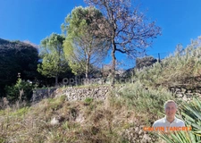 🏡Maison à vendre - 3 pièces - 73 m2 - 1730 m² de terrain entièrement clôturé - Alès (30100)