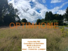 Terrain à vendre de 521,00 m² BAUD (56)