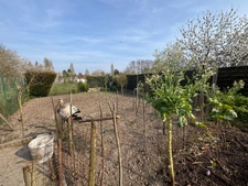 Terrain constructible à vendre à CHEVILLY (45)