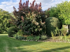 House for sale 16 rooms ARCIS LE PONSART (51)