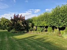 House for sale 16 rooms ARCIS LE PONSART (51)