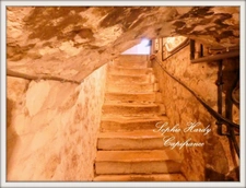 House for sale 16 rooms ARCIS LE PONSART (51)