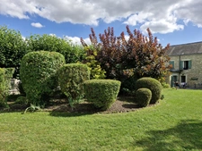 House for sale 16 rooms ARCIS LE PONSART (51)