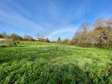 Terrain à vendre Quinssaines (03) 1352m² - Cadre verdoyant - Forêt