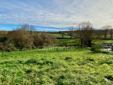 Terrain à vendre Quinssaines (03) 1352m² - Cadre verdoyant - Forêt