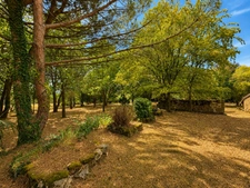 Propriété de charme, dépendances et 2 hectares de nature aux portes de la forêt de Tronçais