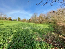 Terrain à vendre Quinssaines (03) 1352m² - Cadre verdoyant - Forêt