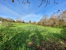 Terrain à vendre Quinssaines (03) 1352m² - Cadre verdoyant - Forêt