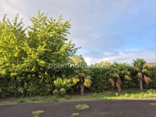 Magnifique villa à vendre 5 pièces MIREFLEURS 