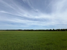 Terrain à vendre  ARCEAU (21)