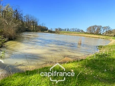 Etang de 7000m² - SAVIGNY SUR SEILLE (71)