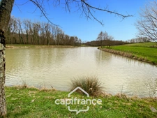 Etang de pêche - 1.1 hectare d'eau - empoissonné -  DOMMARTIN LES CUISEAUX (71)