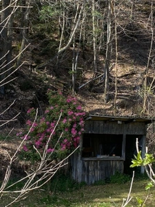 Authentic Auvergne mill on the banks of a stream.