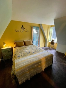 Maison à vendre 2 pièces VIEILLEVIE (15)