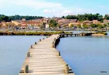 RARE......UNE MAISON: 2 APPARTEMENTS. UNE TERRASSE avec VUE SUR ETANG. PORTE OUVERTE LE SAMEDI 22 AOUT A 10HOO